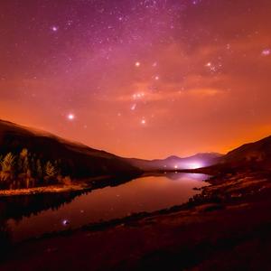 国产免费的野战视频
